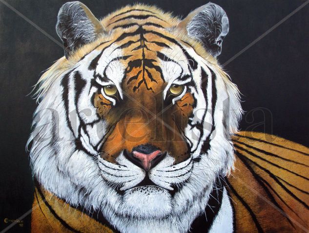 Beleza Siberiana Oil Canvas Animals