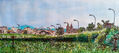 Vista Astorga (León)