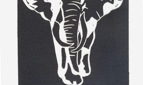 el viaje del elefante