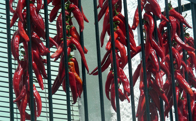 Pimientos