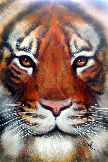 CARA DE TIGRE Acrylic Panel Animals