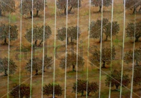 Olivos 17