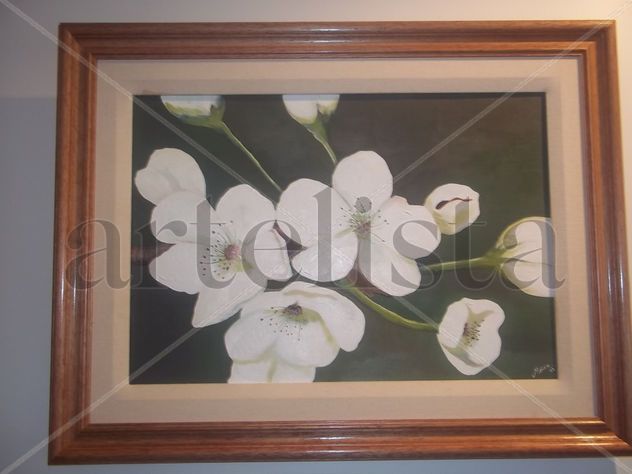 FLORSITAS SILVESTRES
