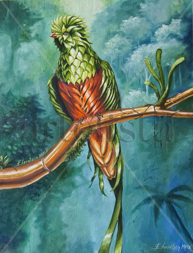 Pharomachrus metallicus