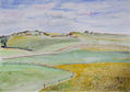 "Campo de girasoles"