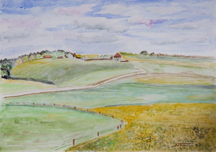 "Campo de girasoles"
