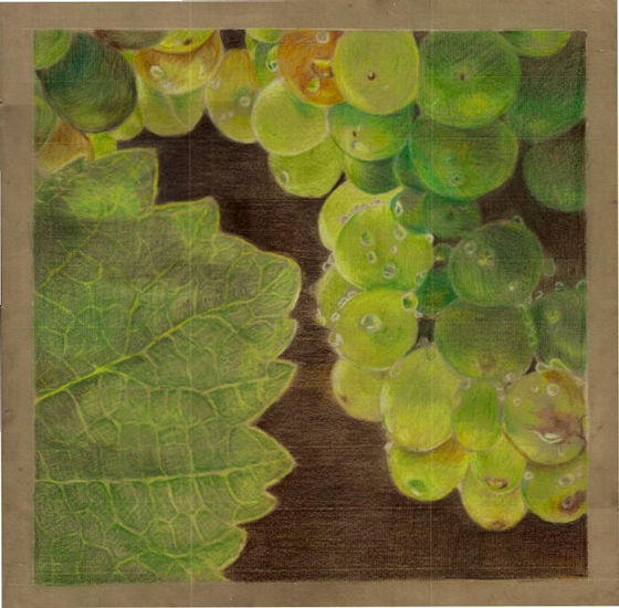 Uvas Pencil (coloured) Paper Landscaping