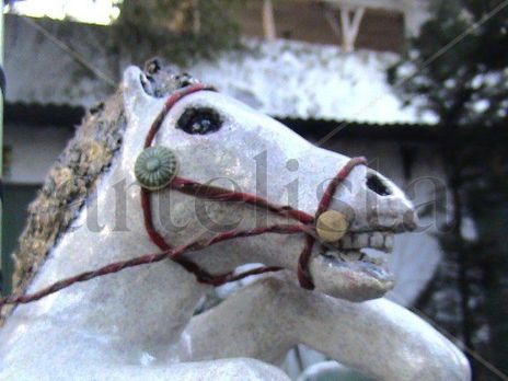 Caballo de Calesita...