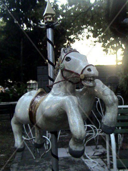 caballo de calesita2