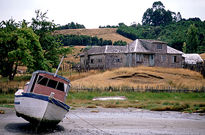 Marea baja