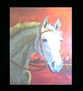 CABALLO EN HIPODROMO