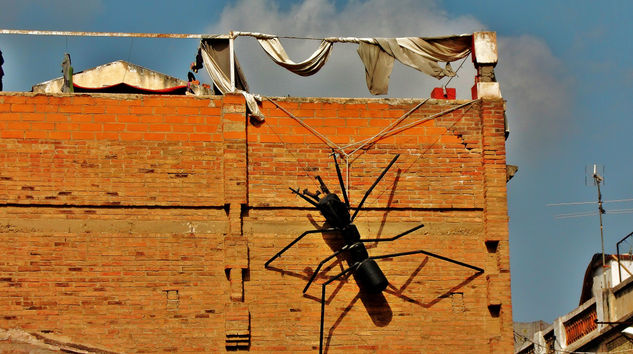 arte en la calle Fotoperiodismo y documental Color (Digital)