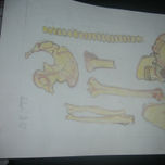 colección 1 thumbnail 2