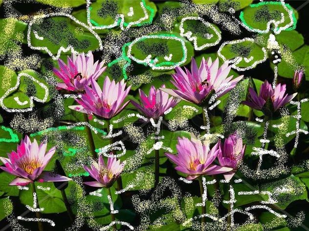 jardin