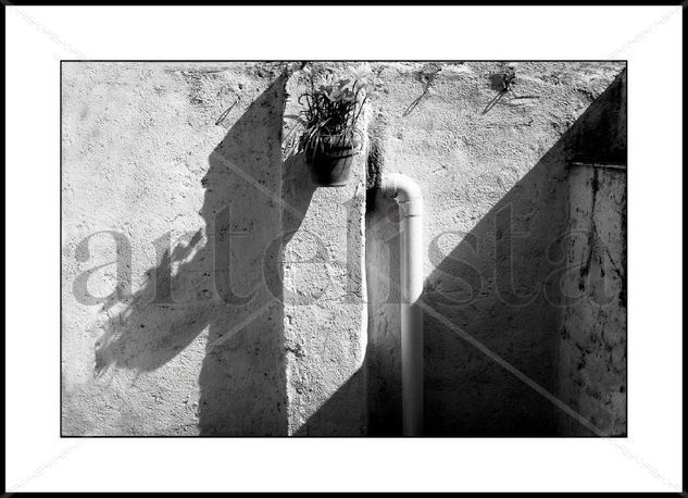 Maceta al sol. Architecture and Interiorism Black and White (Digital)