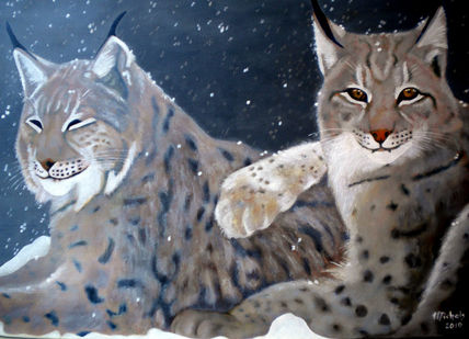 Des lynx