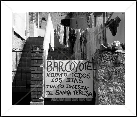 Bar Coyote,