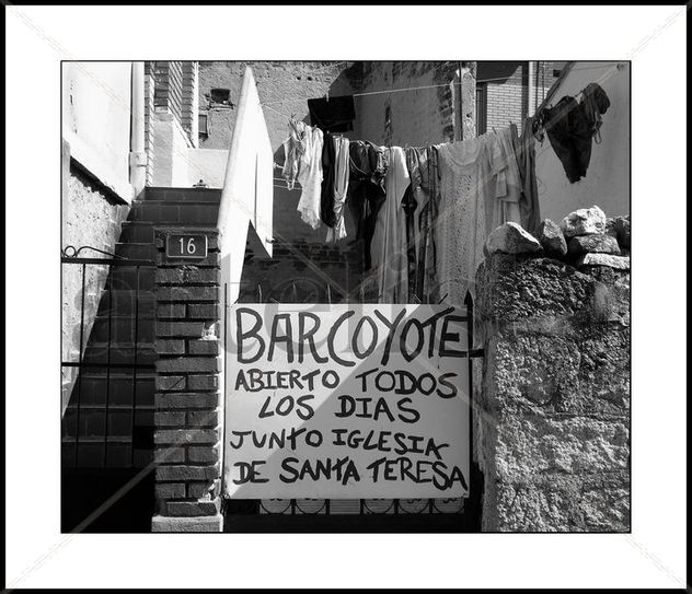 Bar Coyote,