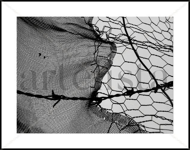 Prohibición. Conceptual/Abstracto Blanco y Negro (Digital)