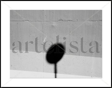 Piruleta media.