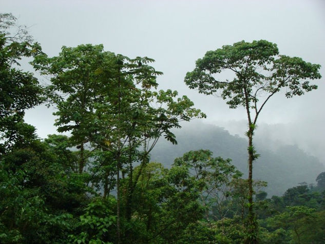 Serenidad y belleza 