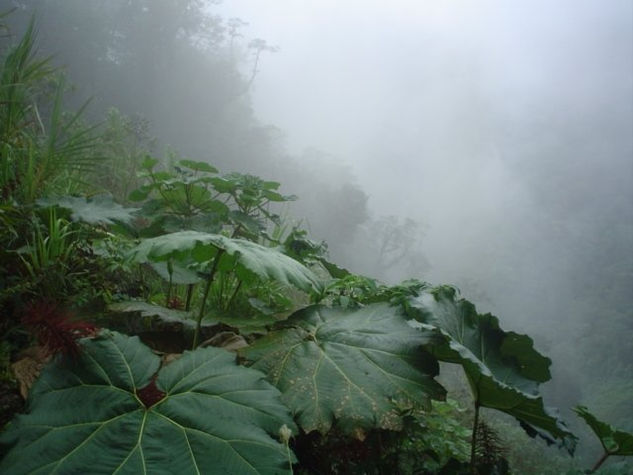 abrazados por la naturaleza 