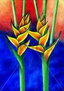 Flor de Fuego