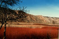 Los colores de La Alcarria en invierno