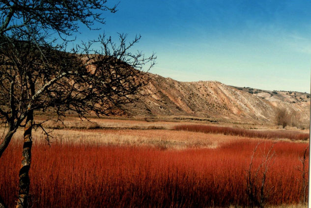 Los colores de La Alcarria en invierno Naturaleza Color (Química)