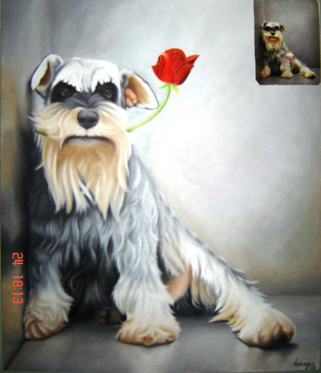 dog portrait