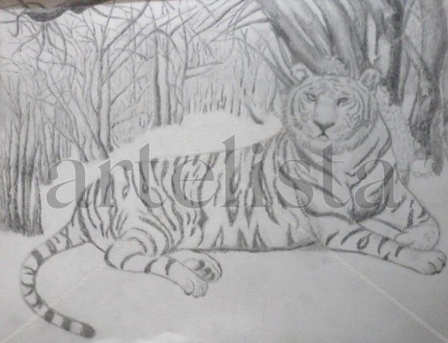 Tigree