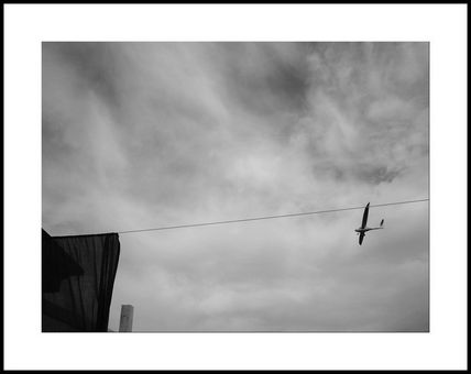 Planeador en línea.