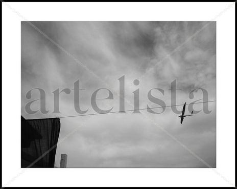 Planeador en línea.