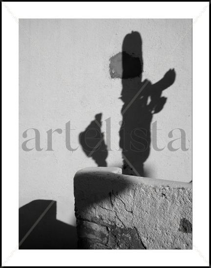 La sombra del cactus. Nature Black and White (Digital)