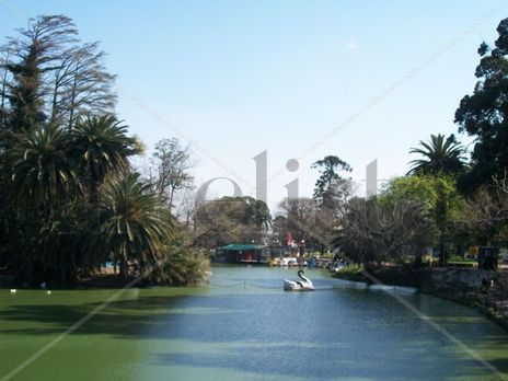 Laguito del Parque...