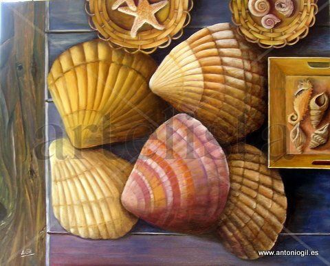 Conchas Oil Canvas Marine Painting