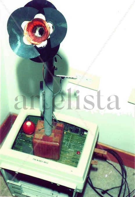 Flor