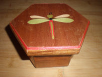 Dragon fly?Libelula