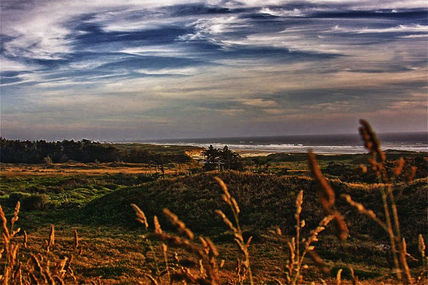 The Oregon coast