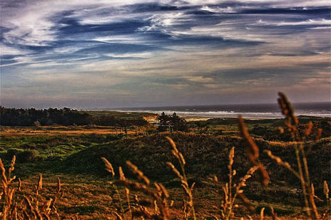 The Oregon coast