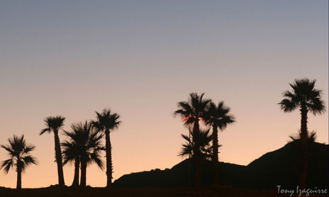 Atardeceres