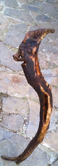 Sanguijuela destripada