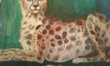 felinos 1