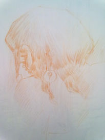 Estudio perfil