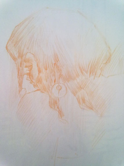 Estudio perfil