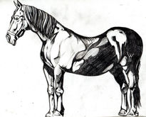 Caballo