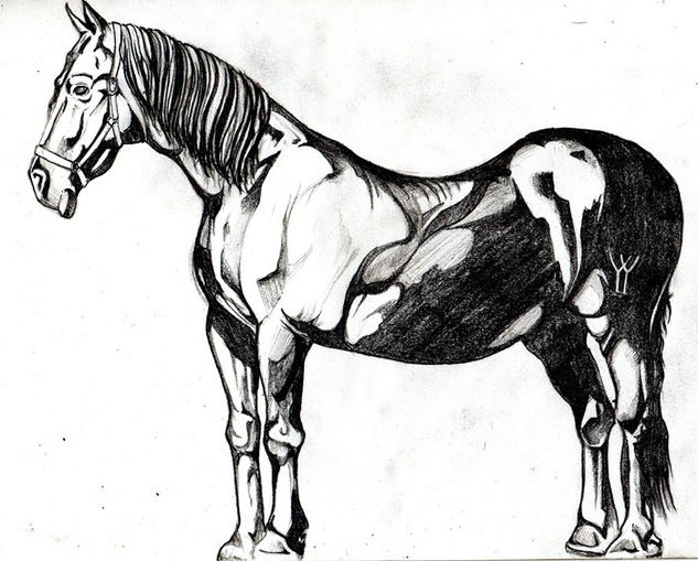 caballo 