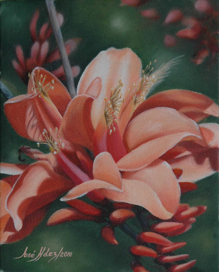 "Amapolas II" Oil Canvas Floral Painting