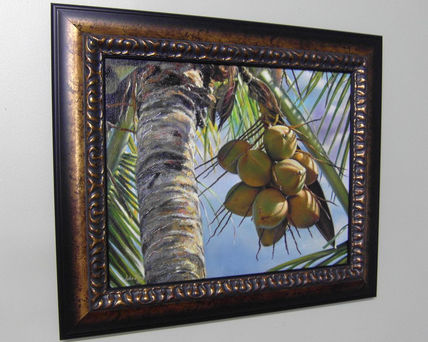 Masetero de coco