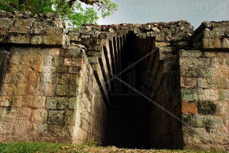 Arco Maya